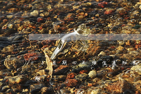 58逾期四天短信通知要上門協(xié)商