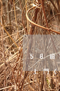 58逾期發(fā)短信說(shuō)要上門(mén)是真的嗎-58逾期發(fā)短信說(shuō)要上門(mén)是真的嗎嗎