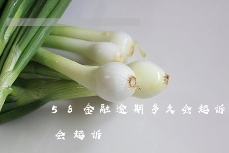 58金融逾期多久会起诉(58金融逾期多久会起诉)