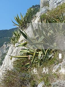 5w以內(nèi)信用卡逾期起訴(信用卡逾期欠款5萬以上)