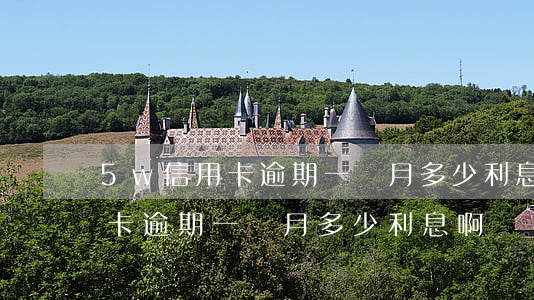 5w信用卡逾期一個月多少利息-5w信用卡逾期一個月多少利息啊