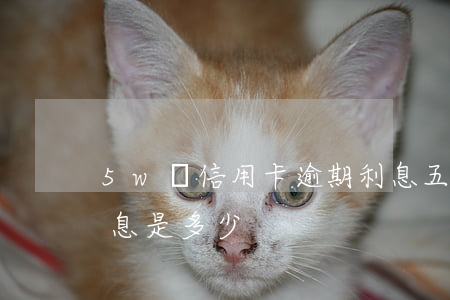 5w塊信用卡逾期利息 五萬元信用卡逾期利息是多少