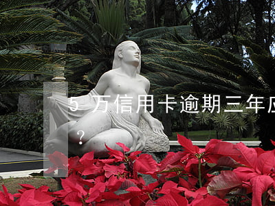 5万信用卡逾期三年应还款项及利息是多少？