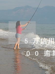 5万信用卡逾期半年利息是多少(信用卡5000逾期五年)