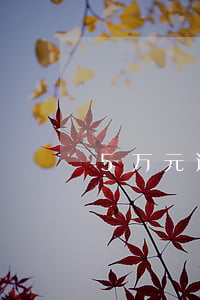 5万元逾期起诉(逾期5万多久会被起诉)