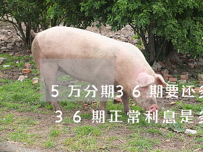5万分期36期要还多少一个月-借5万分36期正常利息是多少