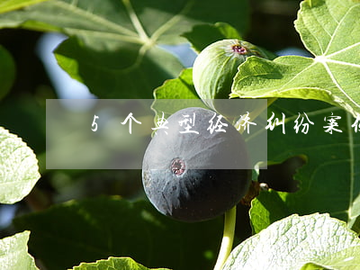 5个典型经济纠纷案例(经济纠纷经典案例)