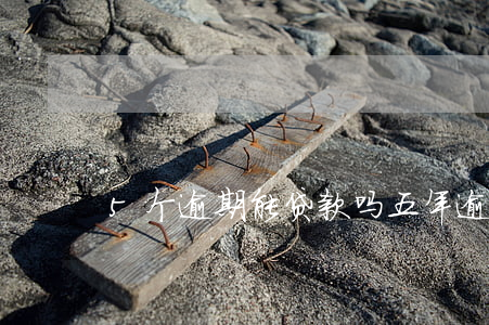 5个逾期能贷款吗?(五年逾期10次能贷款吗)
