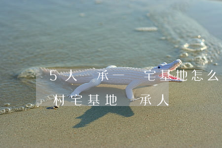 5人繼承一塊宅基地怎么分(農(nóng)村宅基地繼承人)