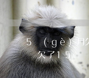 5個(gè)月欠16萬的網(wǎng)貸(欠了15萬網(wǎng)貸)