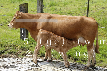 5個(gè)網(wǎng)貸都逾期了怎么辦(網(wǎng)貸逾期五天嚴(yán)重嗎)