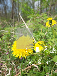 5個月逾期超過90天(5個月逾期超過90天是什么意思)
