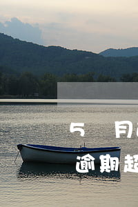 5個月逾期超過90天是什么意思-5個月逾期超過90天是什么意思啊