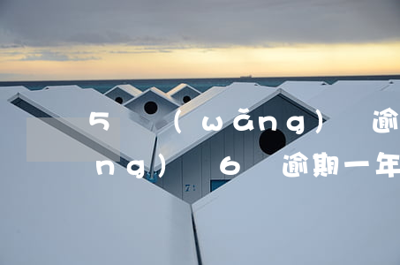 5個網(wǎng)貸逾期一年了(網(wǎng)貸6萬逾期一年)