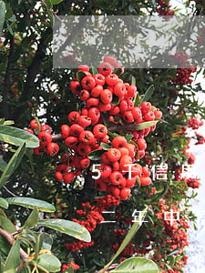 5千信用卡逾期兩年半（信用卡1萬5的逾期二年中信的）