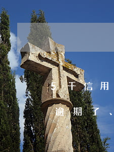 5千信用卡逾期八年要還多少(五千的信用卡逾期了、如今要還兩萬(wàn)多)