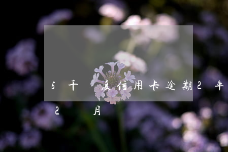 5千額度信用卡逾期2年（信用卡差5萬逾期2個月）