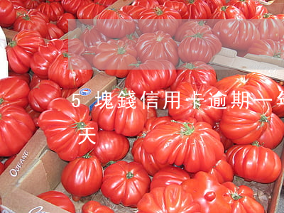 5塊錢信用卡逾期一年 信用卡5塊錢逾期兩天