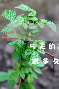 5天的高利貸逾期多少天會被轟炸-高利貸借多久會被催債