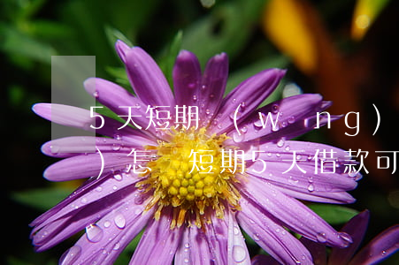 5天短期網(wǎng)貸不還會(huì)怎樣(短期5天借款可以不還嗎)