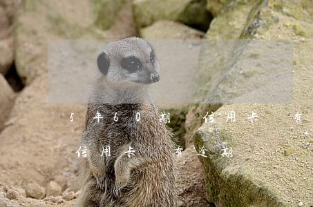 5年60期還信用卡沒有逾期(5年60期還信用卡沒有逾期)
