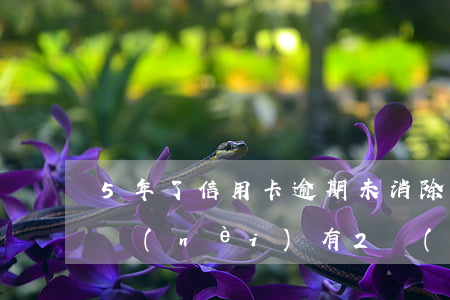 5年了信用卡逾期未消除記錄-信用卡5年內(nèi)有2個(gè)月處于逾期狀態(tài)