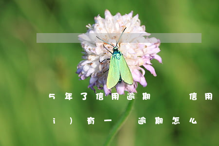 5年了信用逾期記錄(信用報告5年內(nèi)有一個逾期怎么辦)