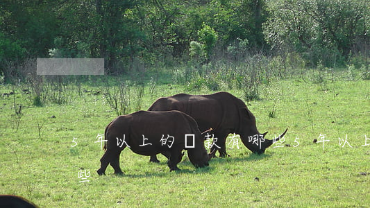 5年以上的貸款有哪些（5年以上的貸款有哪些）