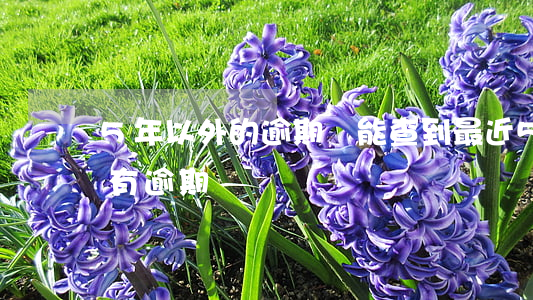 5年以外的逾期還能查到(最近5年有6個月有逾期)