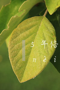5年信用卡一次逾期房貸上浮(房貸5年內(nèi)逾期2次很嚴(yán)重嗎)