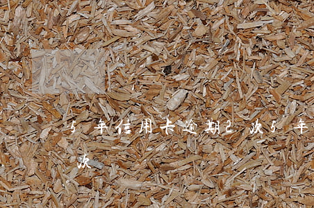 5年信用卡逾期2次(5年征信信用卡逾期9次)