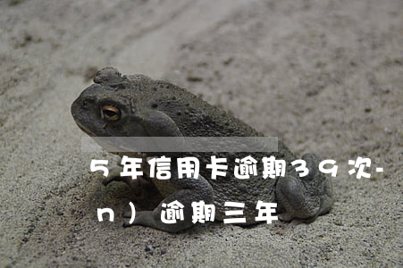 5年信用卡逾期39次-信用卡5萬(wàn)逾期三年