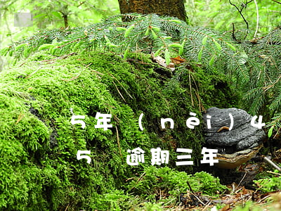 5年內(nèi)4張信用卡有逾期(信用卡5萬逾期三年)