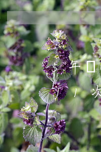 5年內(nèi)信用卡累計(jì)逾期11次