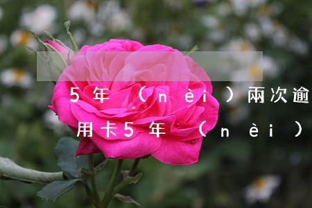 5年內(nèi)兩次逾期好辦信用卡嗎(信用卡5年內(nèi)逾期4次)