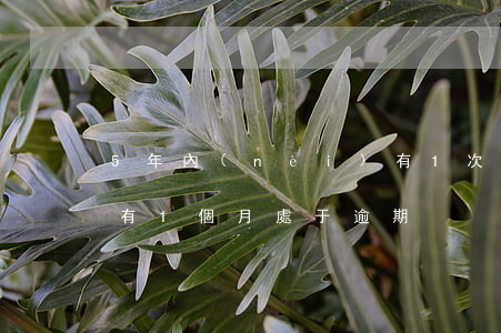 5年內(nèi)有1次逾期還款(最近5年有1個月處于逾期)