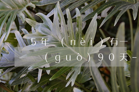 5年內(nèi)有一個(gè)月逾期超過(guò)90天-