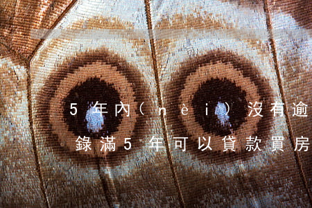 5年內(nèi)沒有逾期能房貸嗎(逾期記錄滿5年可以貸款買房)