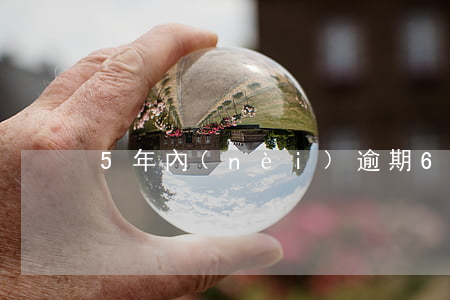 5年內(nèi)逾期6次不能貸款