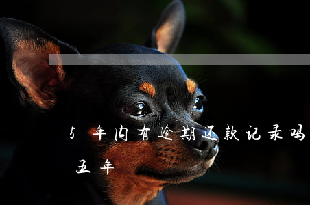 5年内有逾期还款记录吗(逾期记录两年还是五年)