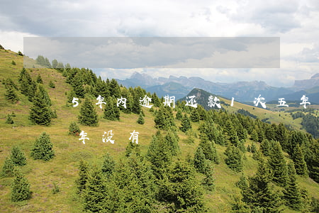 5年内逾期还款1次(五年内有多次逾期,近两年没有)