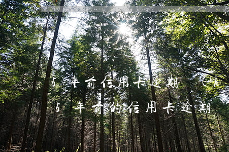 5年前信用卡逾期會(huì)影響征信嗎(5年前的信用卡逾期會(huì)影響貸款嗎)