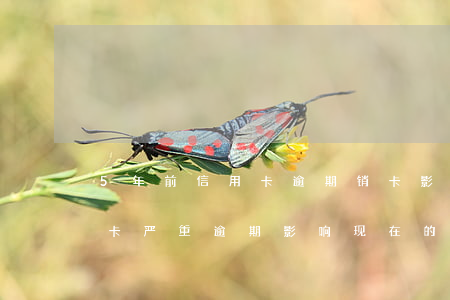 5年前信用卡逾期销卡影响房贷 三年前信用卡严重逾期影响现在的房贷吗