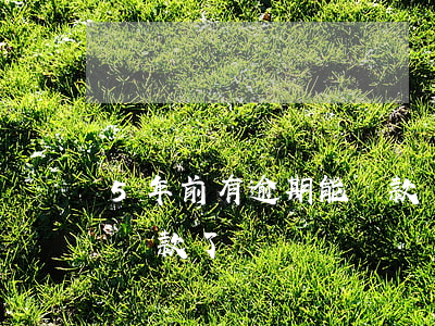 5年前有逾期能貸款嗎(逾期還款后五年就能貸款了嗎)