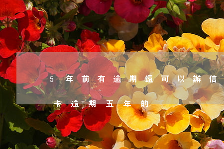 5年前有逾期還可以辦信用卡嗎(有沒有信用卡逾期五年的)
