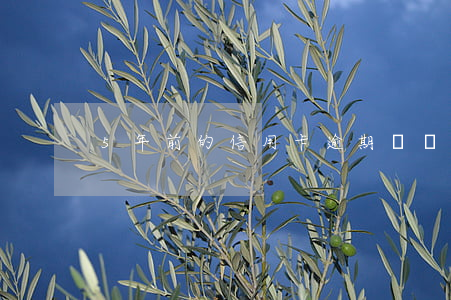 5年前的信用卡逾期還會上征信嗎