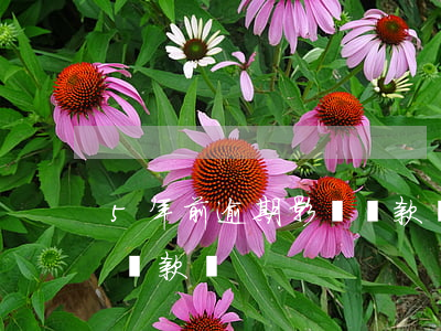 5年前逾期影響貸款嗎(逾期記錄5年后可以貸款嗎)