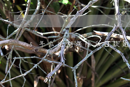 5年后逾期消除后貸款(逾期5年后會消除嗎)