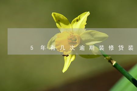 5年有几次逾期装修贷(装修贷逾期多久起诉)