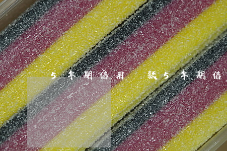 5年期信用貸款（5年期信用貸款）